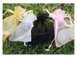 Clean Heels Clear or Black in Sizes Petite, Small or Medium in organza bags